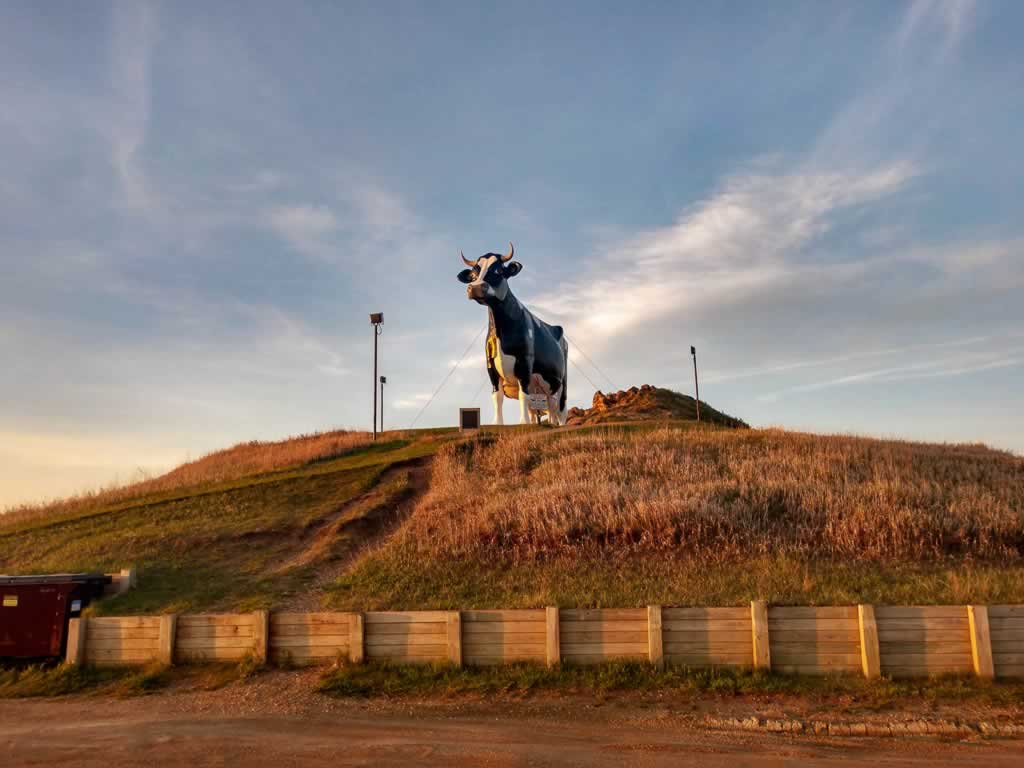 North Dakota New Salem Sue Largest Holstien Cow